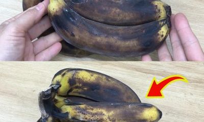 Bananas Podres